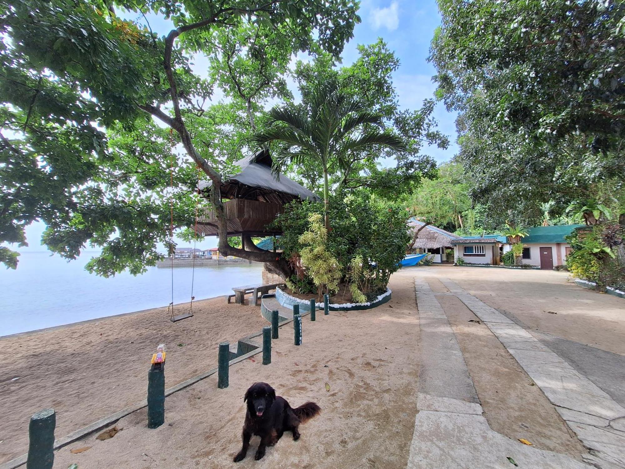 Agta Beach Resort Biliran Exteriör bild