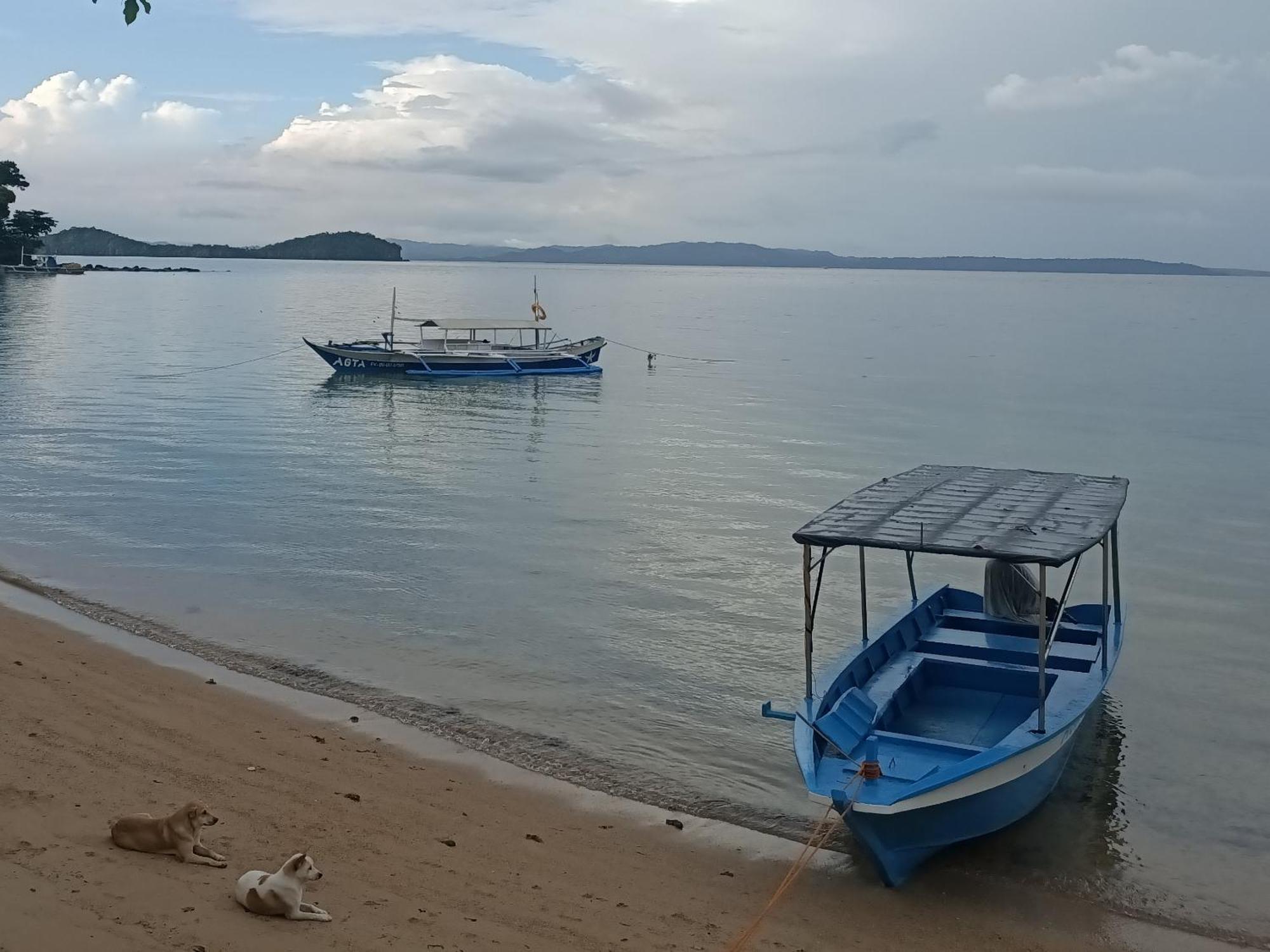 Agta Beach Resort Biliran Exteriör bild